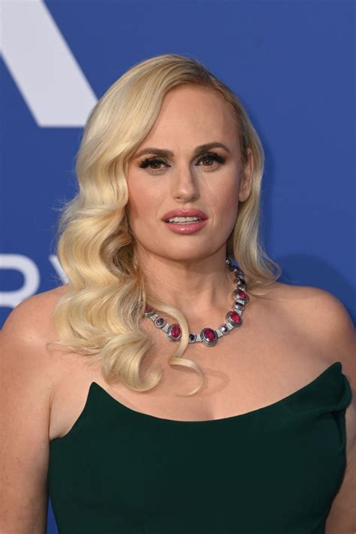 Who Is Rebel Wilson's Dad? Info About Her Parents