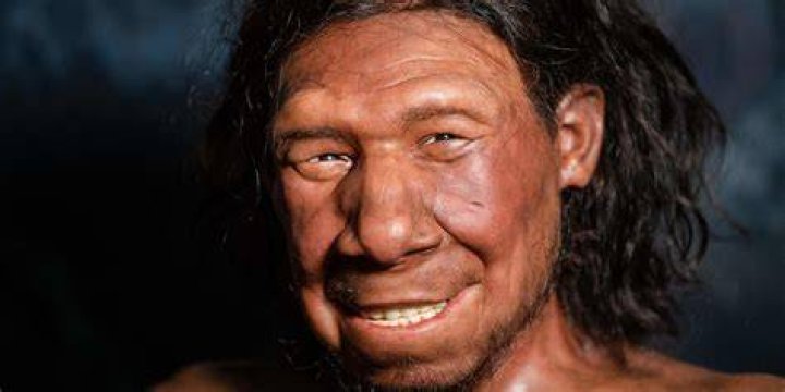 Why Does He Look Like A Neanderthal? ·