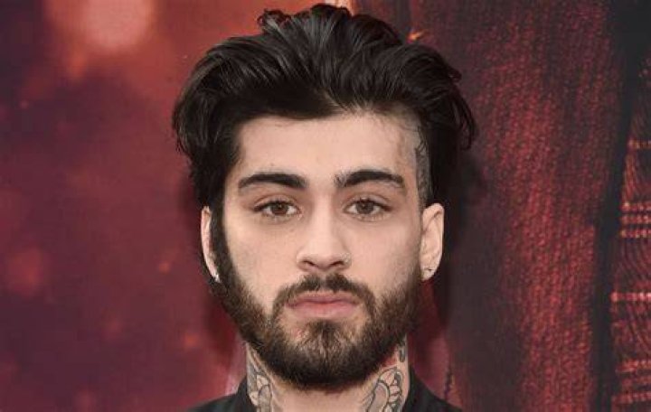 Zayn Malik's Family Members Are No Strangers to the Public Eye